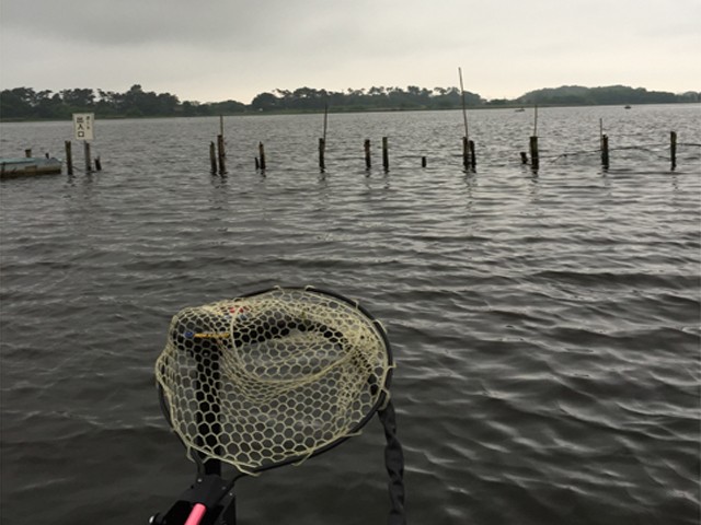 プロショップオオツカ バスフィッシング用品ネット通信販売 ブログ写真 2015/06/05