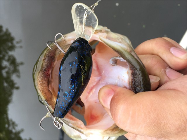 プロショップオオツカ バスフィッシング用品ネット通信販売 ブログ写真 2015/06/05