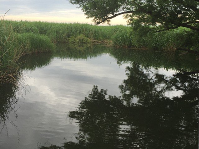 プロショップオオツカ バスフィッシング用品ネット通信販売 ブログ写真 2015/06/05