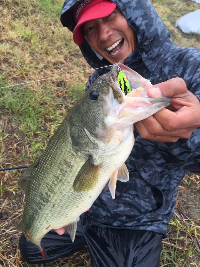 プロショップオオツカ バスフィッシング用品ネット通信販売 ブログ写真 2015/06/13