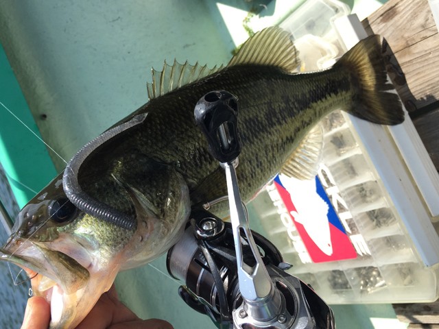 プロショップオオツカ バスフィッシング用品ネット通信販売 ブログ写真 2015/06/13