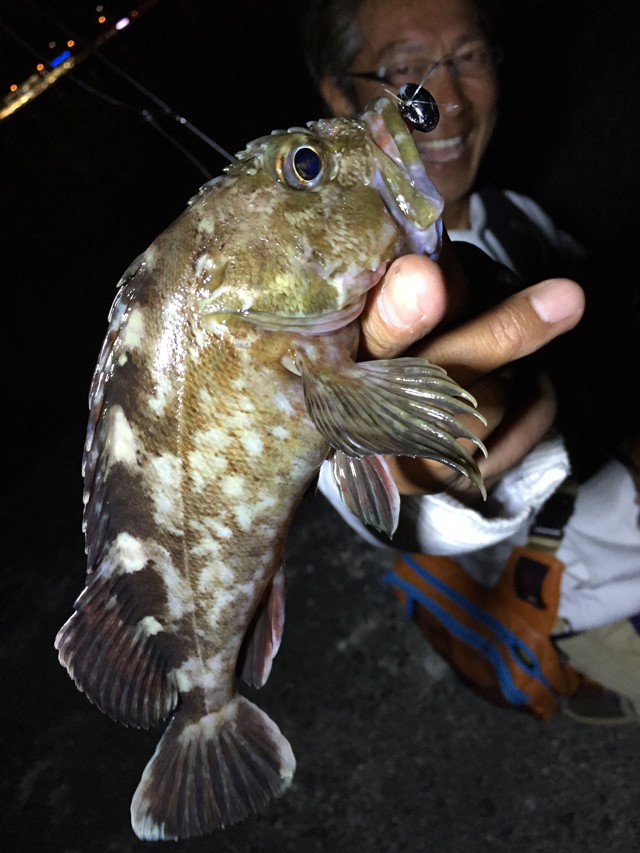 プロショップオオツカ バスフィッシング用品ネット通信販売 ブログ写真 2015/06/13