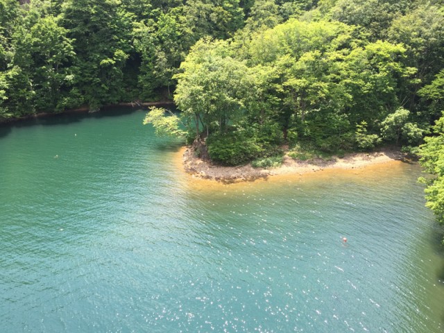 プロショップオオツカ バスフィッシング用品ネット通信販売 ブログ写真 2015/07/16