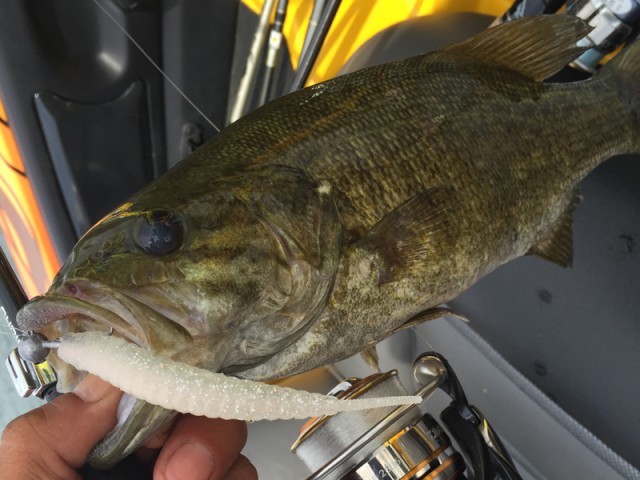 プロショップオオツカ バスフィッシング用品ネット通信販売 ブログ写真 2015/07/16