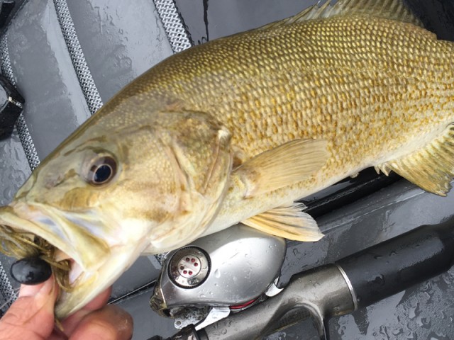 プロショップオオツカ バスフィッシング用品ネット通信販売 ブログ写真 2015/07/16