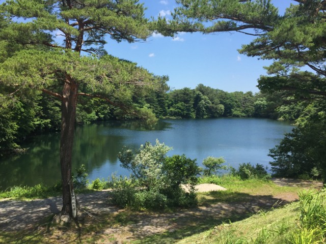 プロショップオオツカ バスフィッシング用品ネット通信販売 ブログ写真 2015/07/16