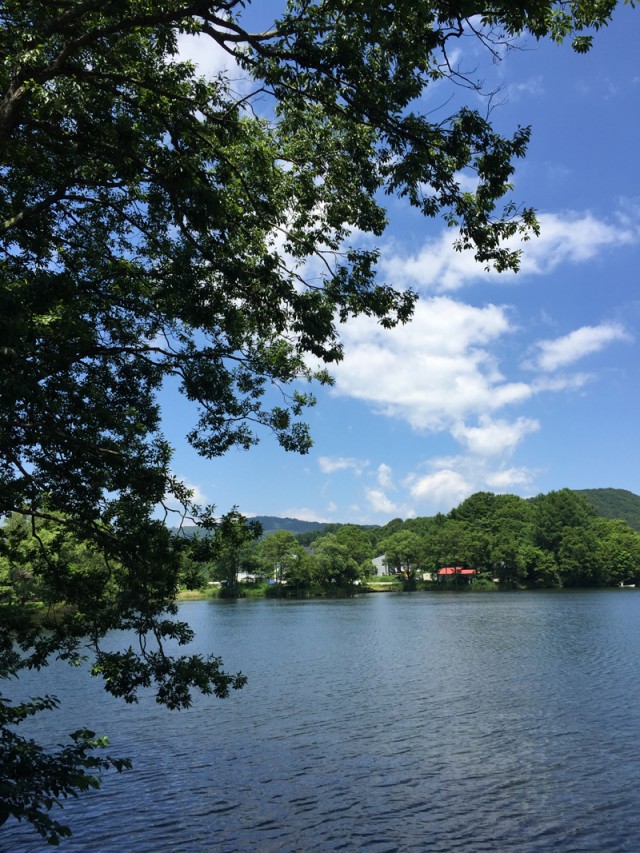 プロショップオオツカ バスフィッシング用品ネット通信販売 ブログ写真 2015/07/16