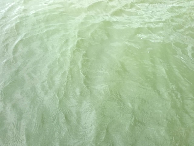 プロショップオオツカ バスフィッシング用品ネット通信販売 ブログ写真 2015/08/27