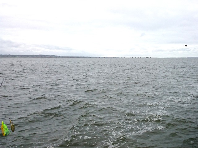 プロショップオオツカ バスフィッシング用品ネット通信販売 ブログ写真 2015/08/27