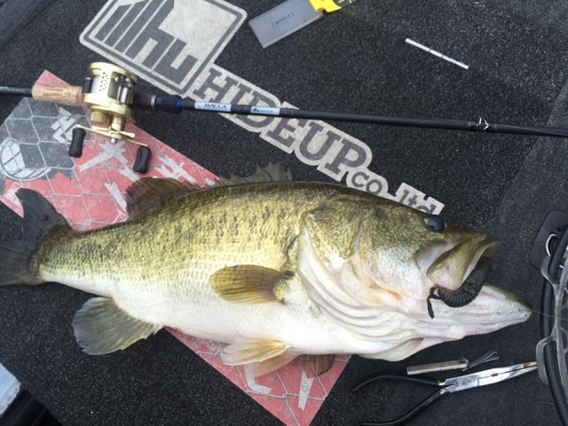 プロショップオオツカ バスフィッシング用品ネット通信販売 ブログ写真 2015/08/31