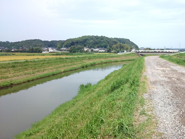 プロショップオオツカ バスフィッシング用品ネット通信販売 ブログ写真 2015/09/03