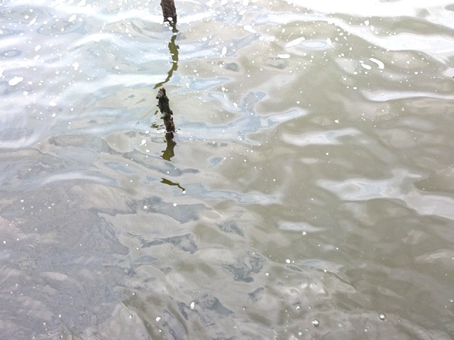 プロショップオオツカ バスフィッシング用品ネット通信販売 ブログ写真 2015/09/03