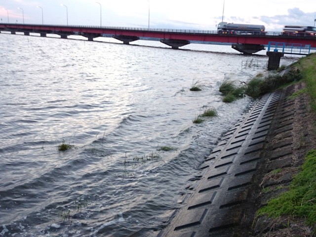 プロショップオオツカ バスフィッシング用品ネット通信販売 ブログ写真 2015/09/22