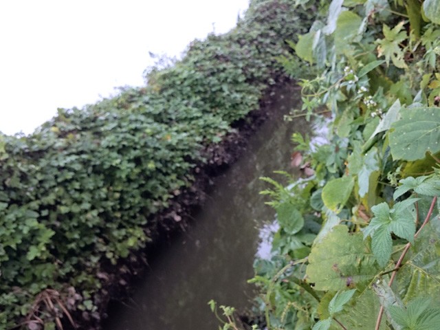 プロショップオオツカ バスフィッシング用品ネット通信販売 ブログ写真 2015/09/30