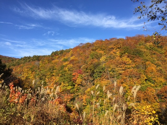 プロショップオオツカ バスフィッシング用品ネット通信販売 ブログ写真 2015/10/21