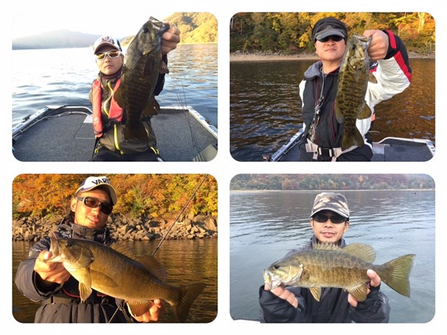 プロショップオオツカ バスフィッシング用品ネット通信販売 ブログ写真 2015/10/21