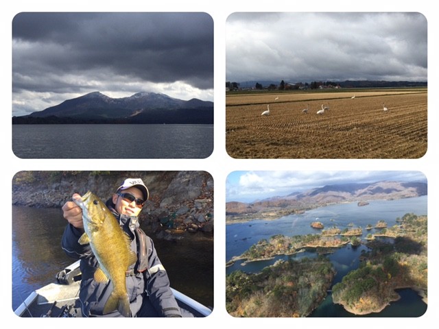 プロショップオオツカ バスフィッシング用品ネット通信販売 ブログ写真 2015/11/04