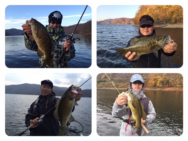 プロショップオオツカ バスフィッシング用品ネット通信販売 ブログ写真 2015/11/04