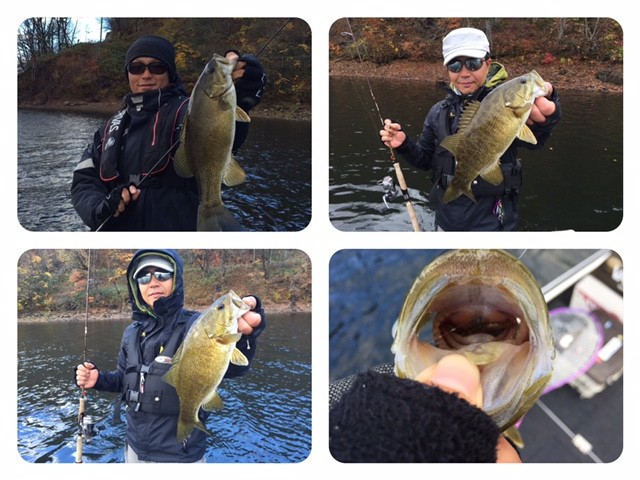 プロショップオオツカ バスフィッシング用品ネット通信販売 ブログ写真 2015/11/04