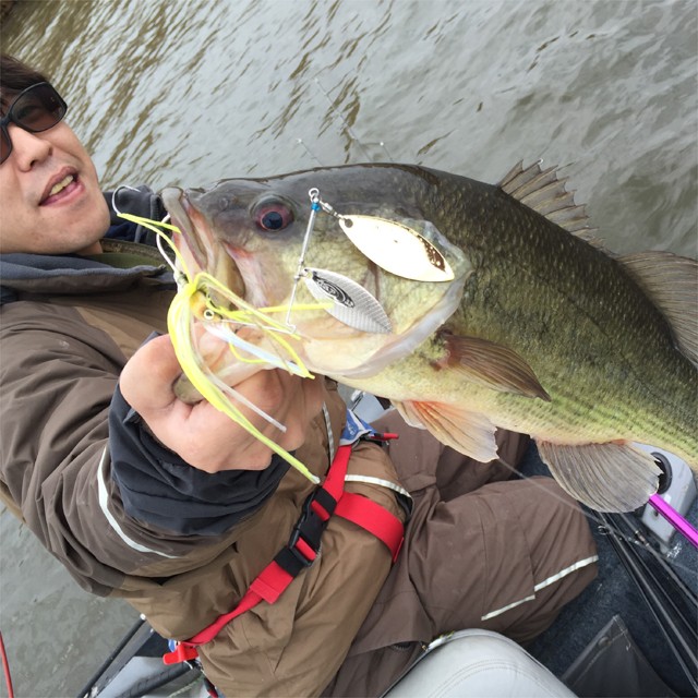 プロショップオオツカ バスフィッシング用品ネット通信販売 ブログ写真 2016/04/18