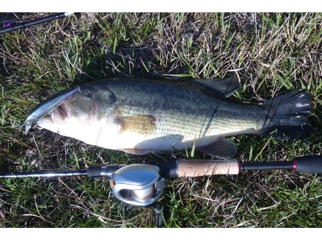 プロショップオオツカ バスフィッシング用品ネット通信販売 ブログ写真 2016/04/20