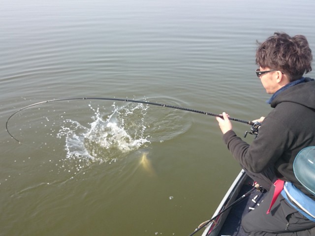 プロショップオオツカ バスフィッシング用品ネット通信販売 ブログ写真 2016/05/01