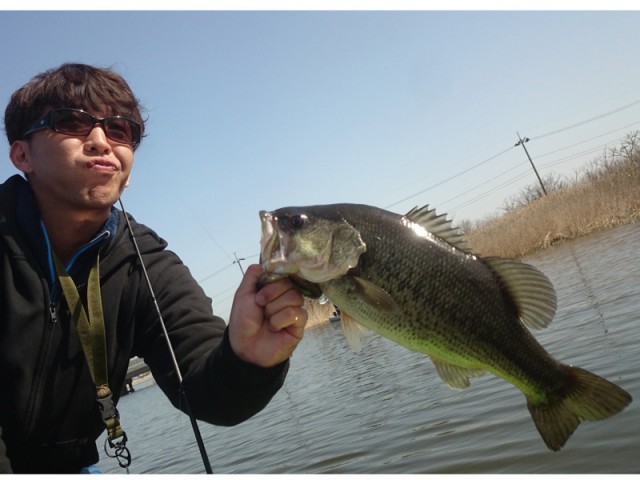 プロショップオオツカ バスフィッシング用品ネット通信販売 ブログ写真 2016/05/01