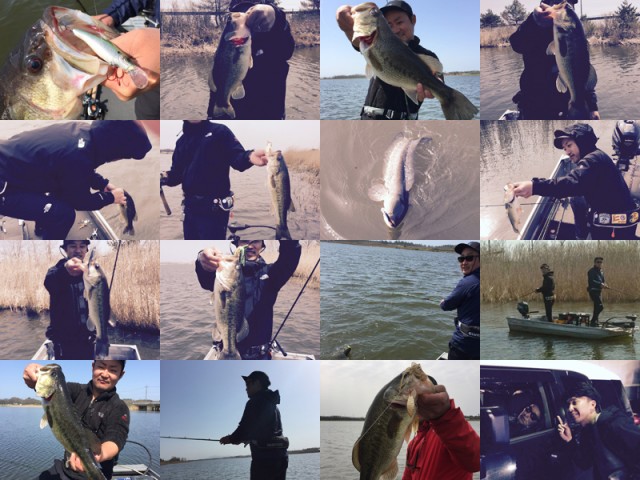 プロショップオオツカ バスフィッシング用品ネット通信販売 ブログ写真 2016/05/01