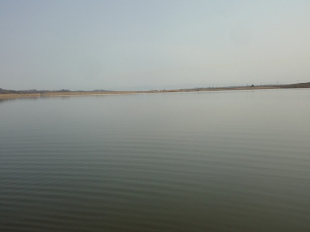 プロショップオオツカ バスフィッシング用品ネット通信販売 ブログ写真 2016/05/01