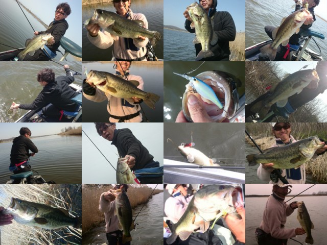 プロショップオオツカ バスフィッシング用品ネット通信販売 ブログ写真 2016/05/01