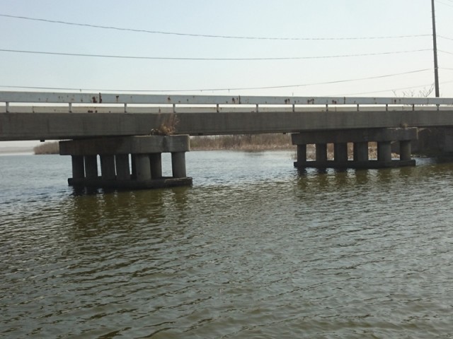 プロショップオオツカ バスフィッシング用品ネット通信販売 ブログ写真 2016/05/01