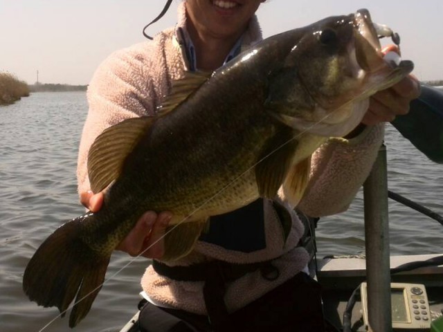 プロショップオオツカ バスフィッシング用品ネット通信販売 ブログ写真 2016/05/01