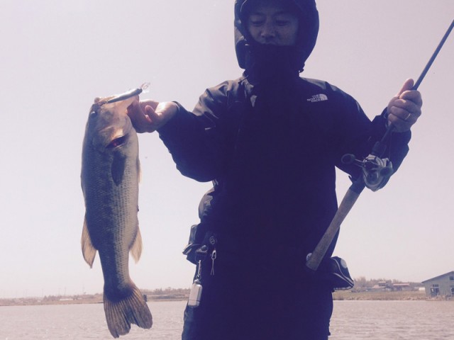 プロショップオオツカ バスフィッシング用品ネット通信販売 ブログ写真 2016/05/01