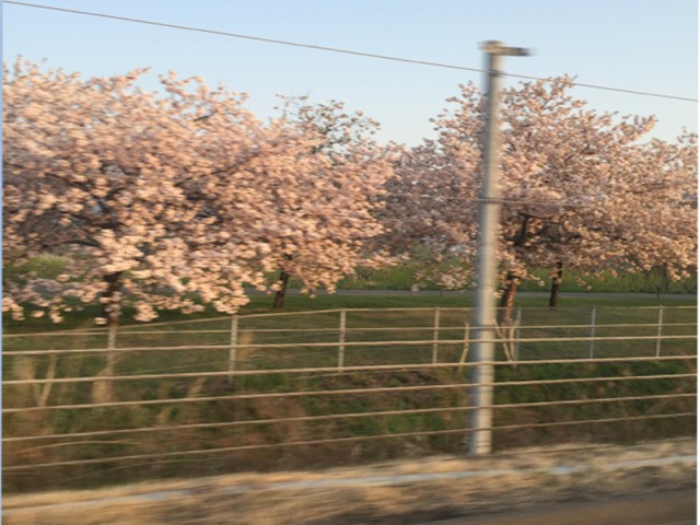 プロショップオオツカ バスフィッシング用品ネット通信販売 ブログ写真 2016/05/02