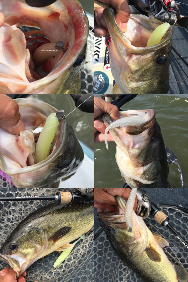 プロショップオオツカ バスフィッシング用品ネット通信販売 ブログ写真 2016/05/05