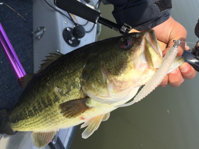 プロショップオオツカ バスフィッシング用品ネット通信販売 ブログ写真 2016/05/05