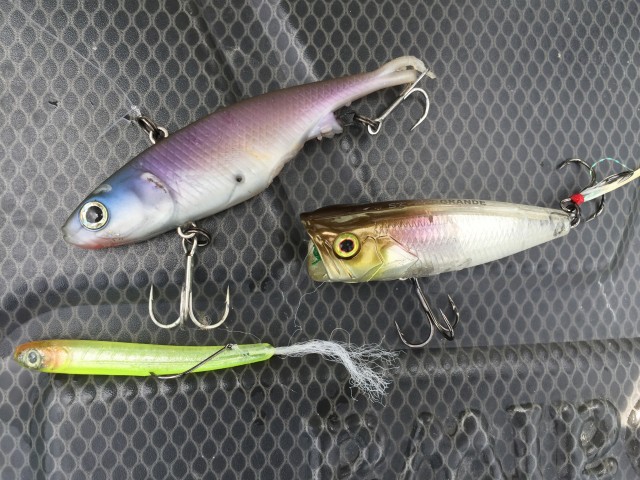 プロショップオオツカ バスフィッシング用品ネット通信販売 ブログ写真 2016/07/02