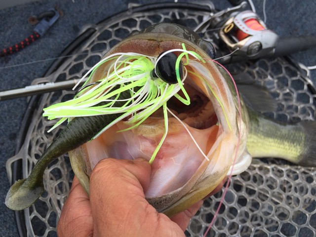 プロショップオオツカ バスフィッシング用品ネット通信販売 ブログ写真 2016/08/05