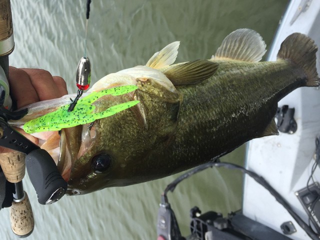 プロショップオオツカ バスフィッシング用品ネット通信販売 ブログ写真 2016/08/05