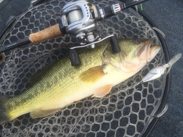 プロショップオオツカ バスフィッシング用品ネット通信販売 ブログ写真 2016/08/05