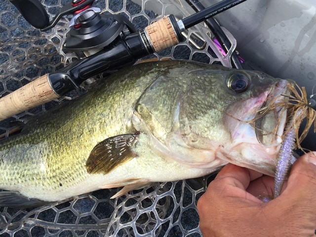 プロショップオオツカ バスフィッシング用品ネット通信販売 ブログ写真 2016/08/05