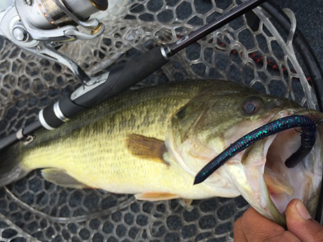 プロショップオオツカ バスフィッシング用品ネット通信販売 ブログ写真 2016/08/05