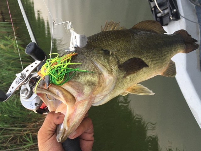 プロショップオオツカ バスフィッシング用品ネット通信販売 ブログ写真 2016/08/05