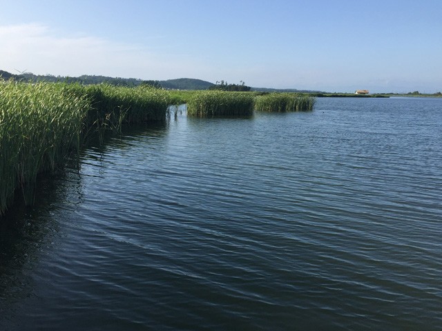 プロショップオオツカ バスフィッシング用品ネット通信販売 ブログ写真 2016/08/05