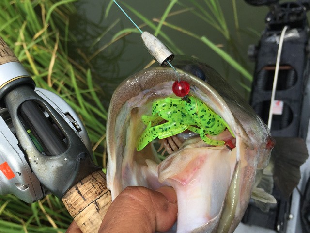 プロショップオオツカ バスフィッシング用品ネット通信販売 ブログ写真 2016/08/05