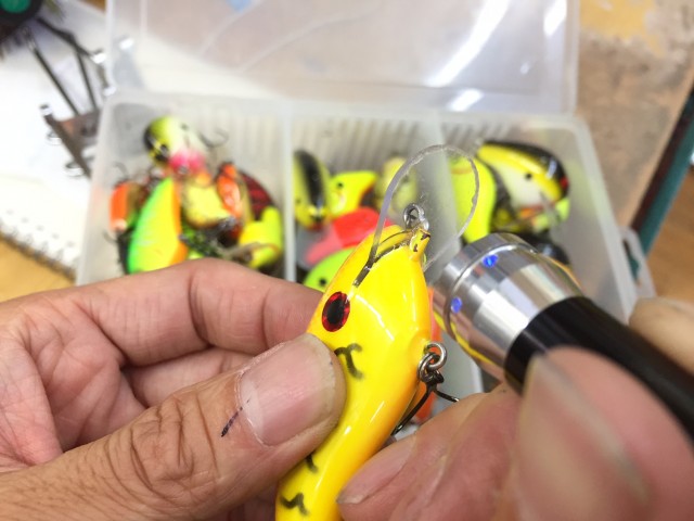 プロショップオオツカ バスフィッシング用品ネット通信販売 ブログ写真 2016/08/21