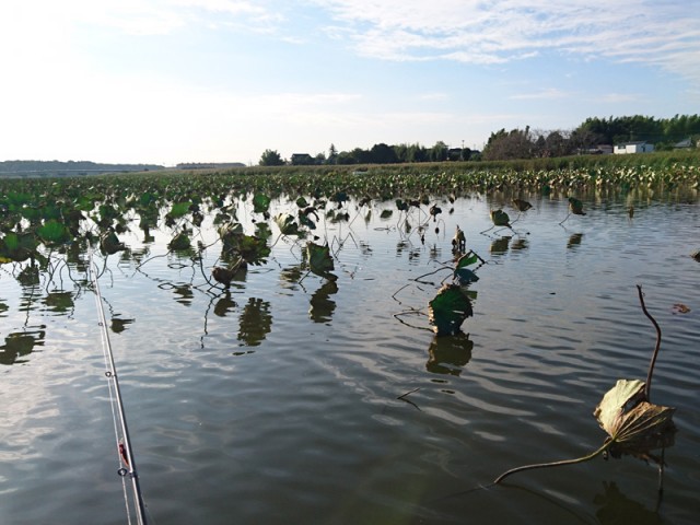 プロショップオオツカ バスフィッシング用品ネット通信販売 ブログ写真 2016/10/12