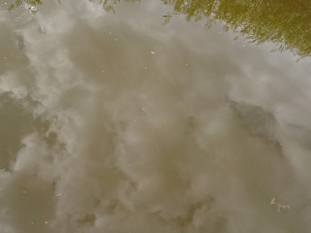 プロショップオオツカ バスフィッシング用品ネット通信販売 ブログ写真 2016/10/12