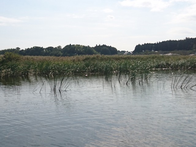 プロショップオオツカ バスフィッシング用品ネット通信販売 ブログ写真 2016/10/12