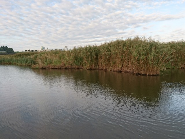 プロショップオオツカ バスフィッシング用品ネット通信販売 ブログ写真 2016/10/12